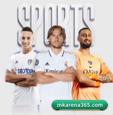 MK体育 APP